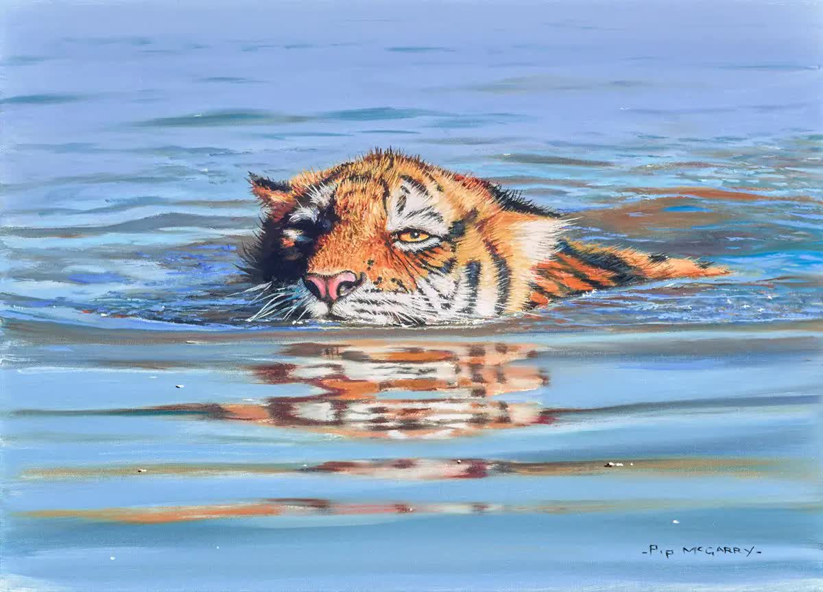 Toàn cầu chỉ còn hơn 5.000 cá thể hổ hoang dã, nhưng chúng lại là "CEO rừng xanh" nắm giữ mạch nước và sự sống còn của con người!- Ảnh 1. Toàn cầu chỉ còn hơn 5.000 cá thể hổ hoang dã, nhưng chúng lại là