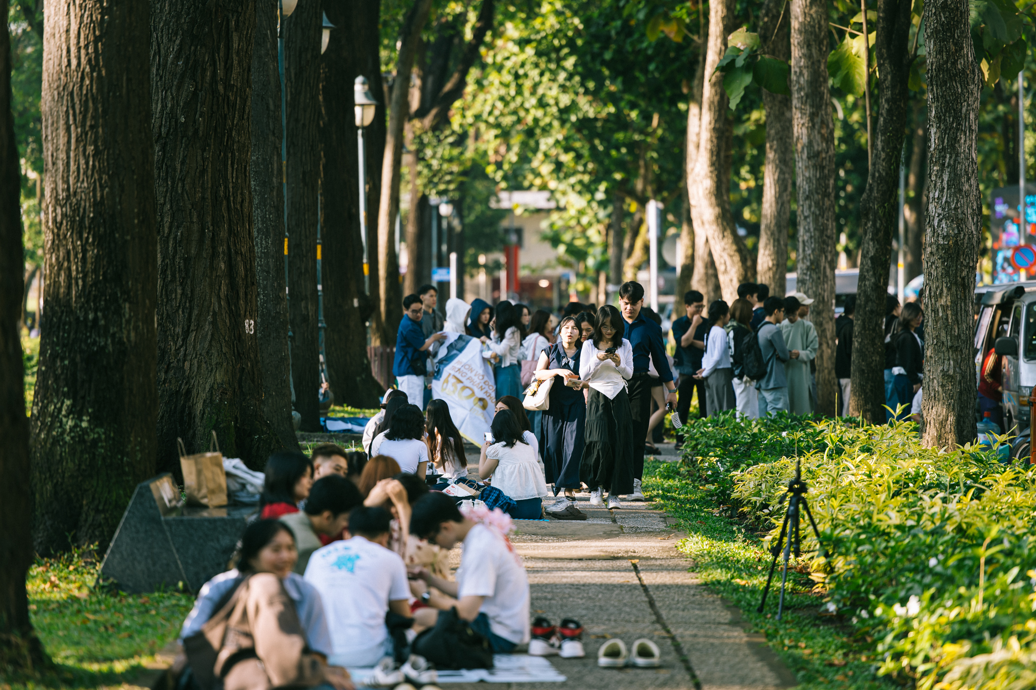 Ảnh, clip: H&agrave; Nội v&agrave; TP.HCM thật lạ trong s&aacute;ng đầu năm 2026- Ảnh 25.