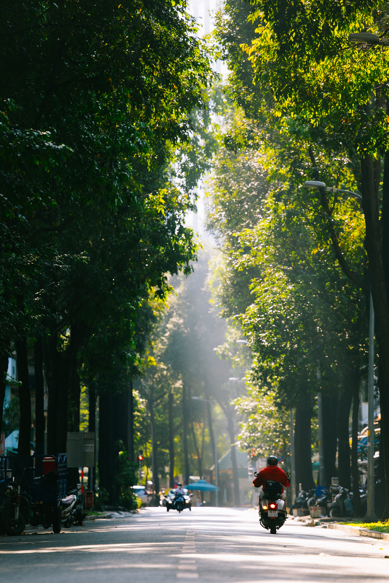 Ảnh, clip: H&agrave; Nội v&agrave; TP.HCM thật lạ trong s&aacute;ng đầu năm 2026- Ảnh 22.