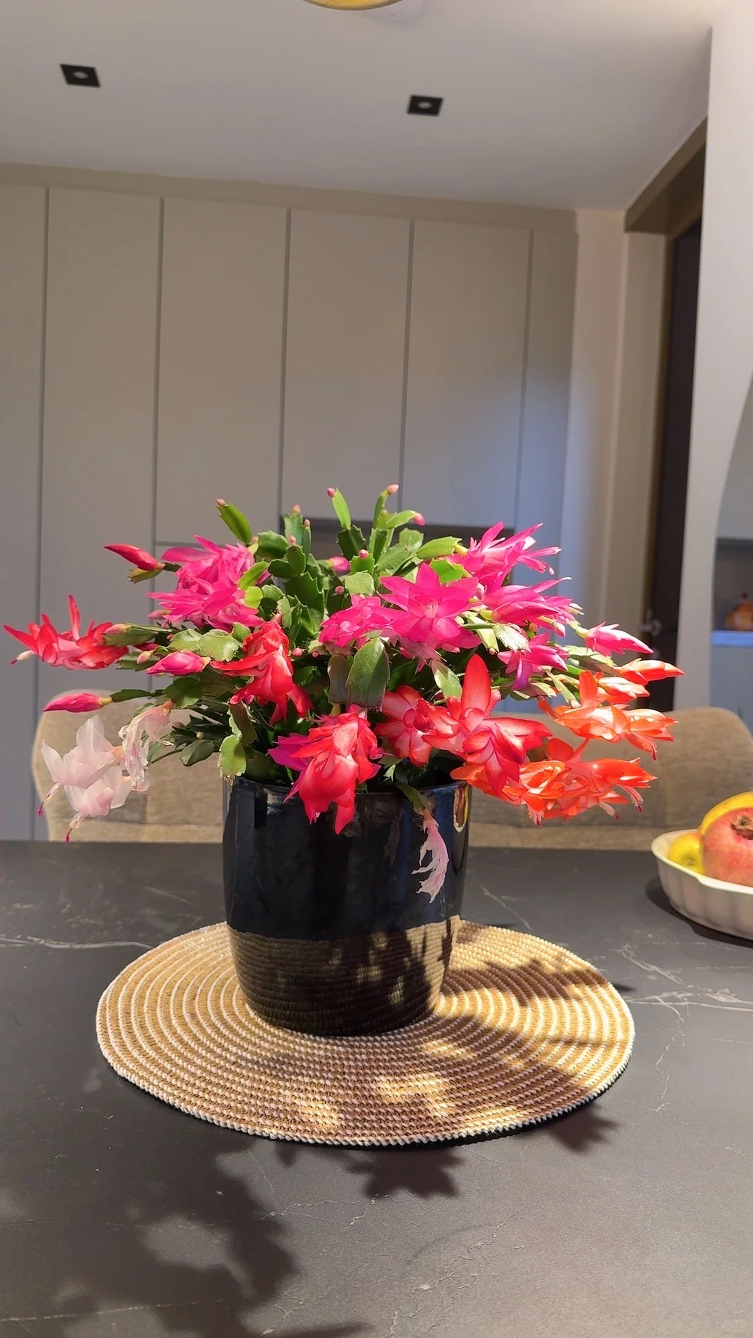 Lo&agrave;i hoa "chi&ecirc;u t&agrave;i" ng&agrave;y Tết c&oacute; sở th&iacute;ch lạ đời: C&agrave;ng bị "ngược đ&atilde;i" c&agrave;ng nở đẹp, gia chủ đếm tiền mỏi tay- Ảnh 19.