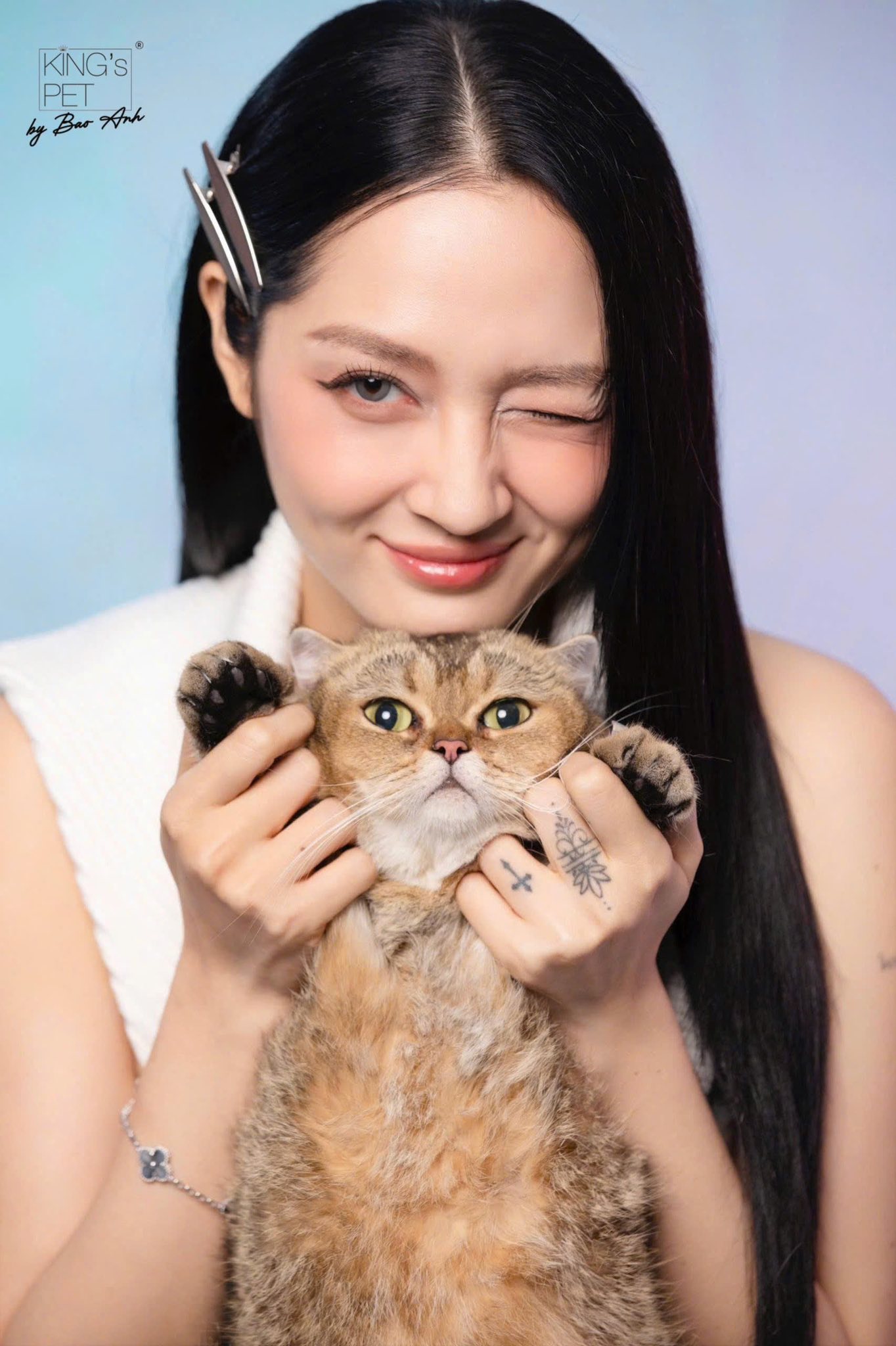 Bảo Anh giữ nhịp l&agrave;m việc đều đặn với &acirc;m nhạc v&agrave; kinh doanh sau khi tham gia chương tr&igrave;nh truyền h&igrave;nh thực tế- Ảnh 1.