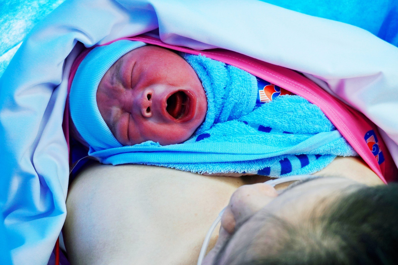 Những tiếng kh&oacute;c trong veo đ&ecirc;m giao thừa: M&ugrave;a xu&acirc;n bắt đầu từ ph&ograve;ng sinh- Ảnh 1.