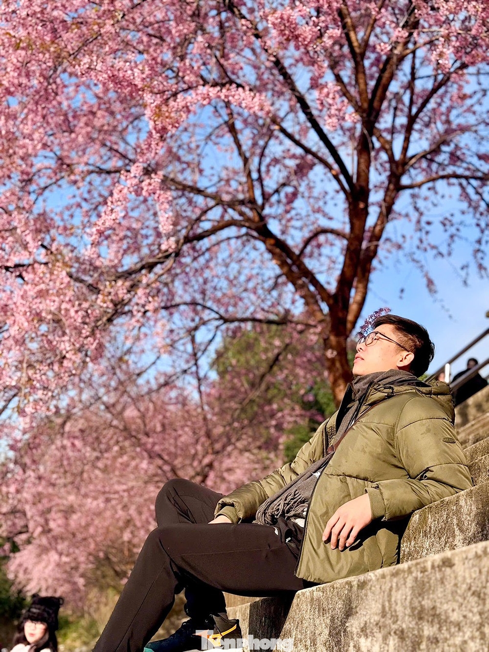 Tớ D&agrave;y l&agrave; hoa g&igrave; m&agrave; du kh&aacute;ch n&ocirc; nức đến L&ocirc; L&ocirc; Chải check-in?- Ảnh 10.