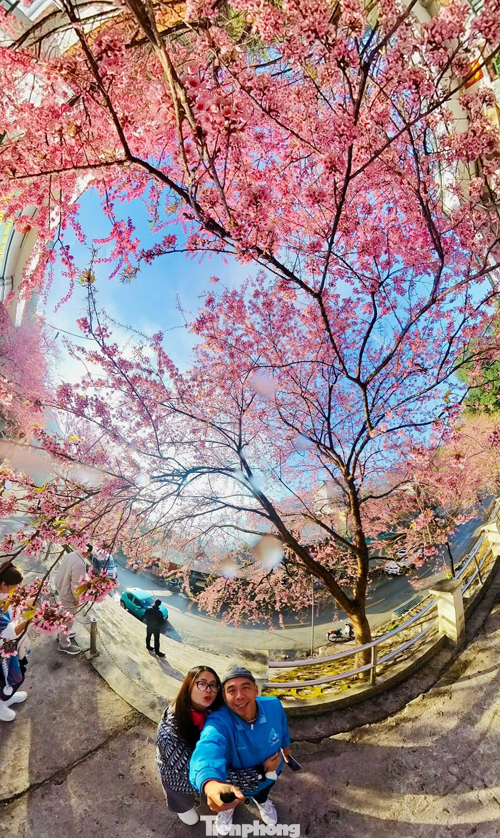 Tớ D&agrave;y l&agrave; hoa g&igrave; m&agrave; du kh&aacute;ch n&ocirc; nức đến L&ocirc; L&ocirc; Chải check-in?- Ảnh 8.