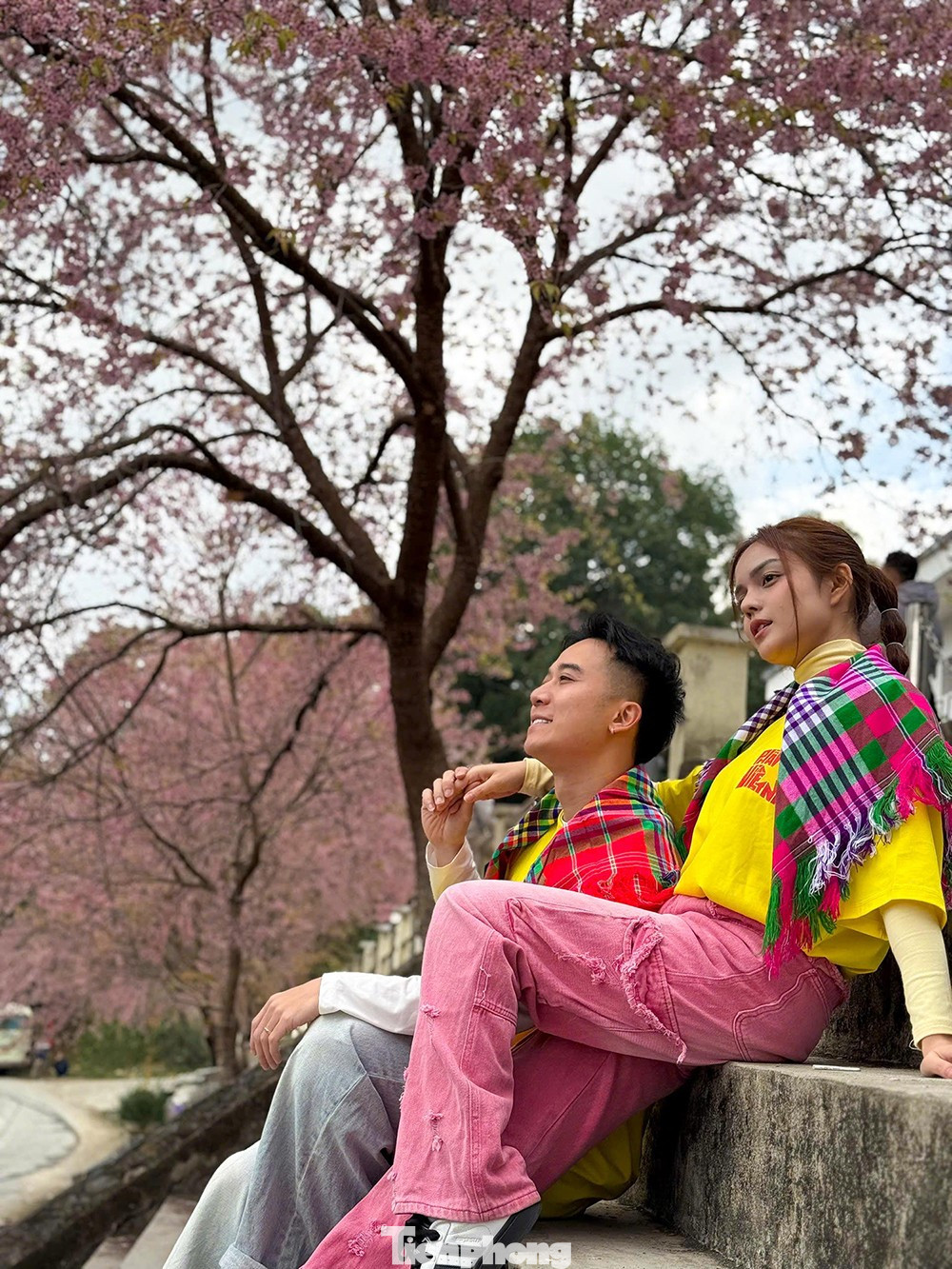 Tớ D&agrave;y l&agrave; hoa g&igrave; m&agrave; du kh&aacute;ch n&ocirc; nức đến L&ocirc; L&ocirc; Chải check-in?- Ảnh 6.