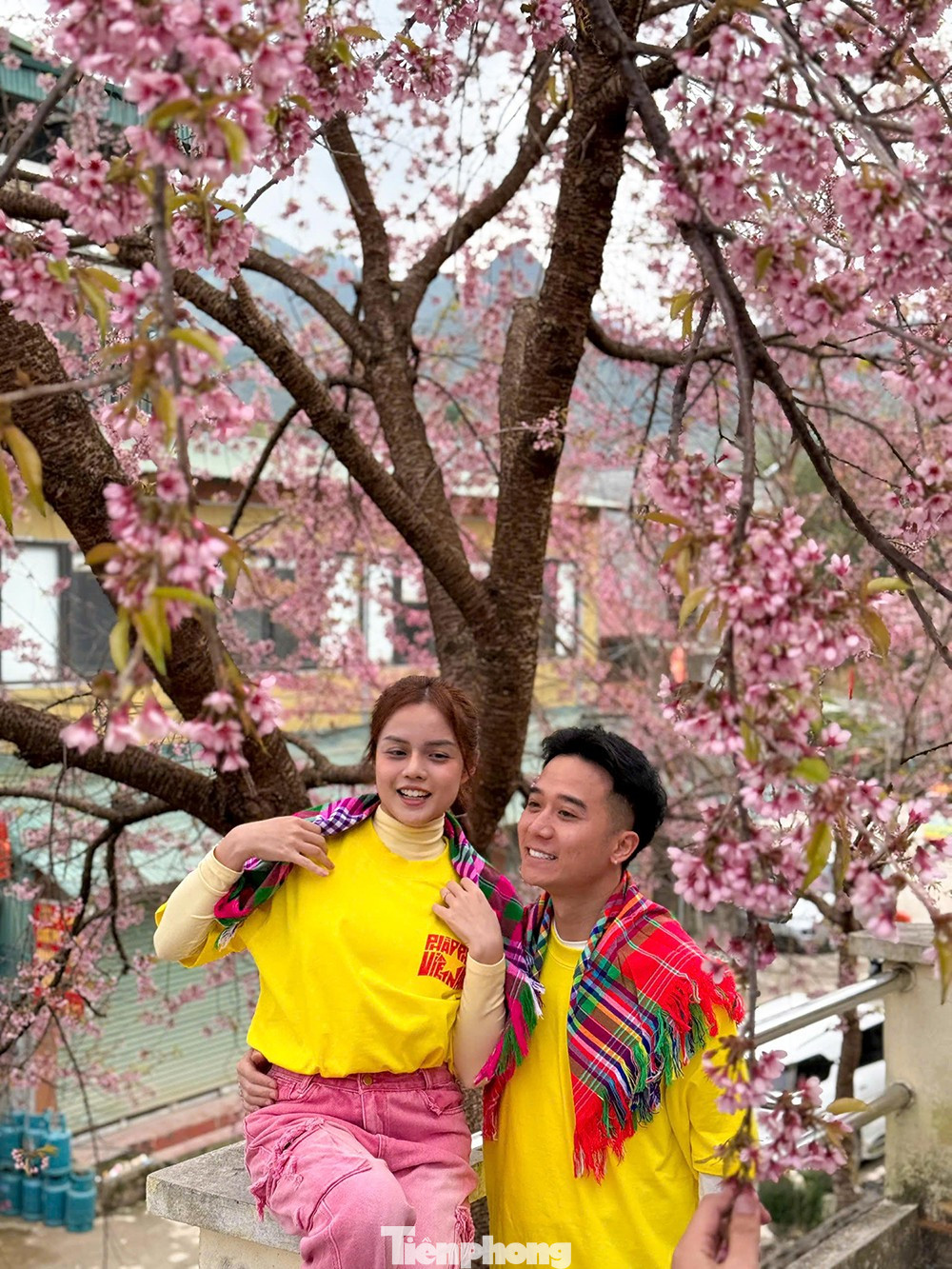 Tớ D&agrave;y l&agrave; hoa g&igrave; m&agrave; du kh&aacute;ch n&ocirc; nức đến L&ocirc; L&ocirc; Chải check-in?- Ảnh 5.