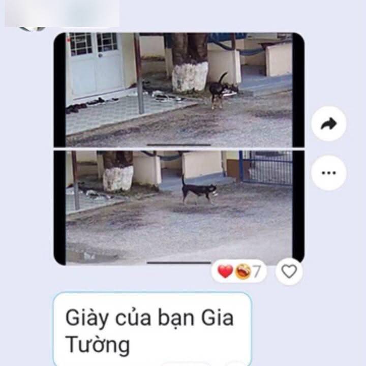 Cô giáo cảnh báo: Ai giấu giày bạn không trả sẽ bị hạ hạnh kiểm, trích xuất camera thấy thủ phạm mà câm nín - Phen này xử sao đây!- Ảnh 2.