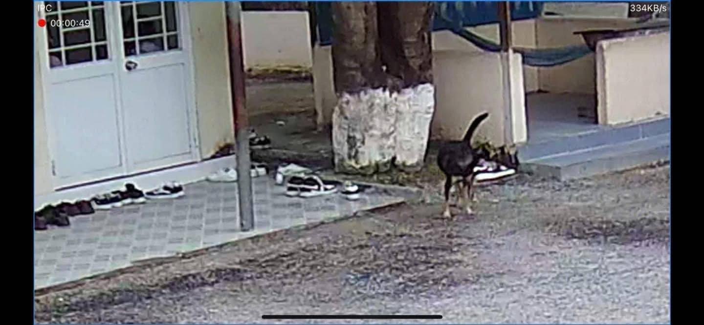 Cô giáo cảnh báo: Ai giấu giày bạn không trả sẽ bị hạ hạnh kiểm, trích xuất camera thấy thủ phạm mà câm nín - Phen này xử sao đây!- Ảnh 4.