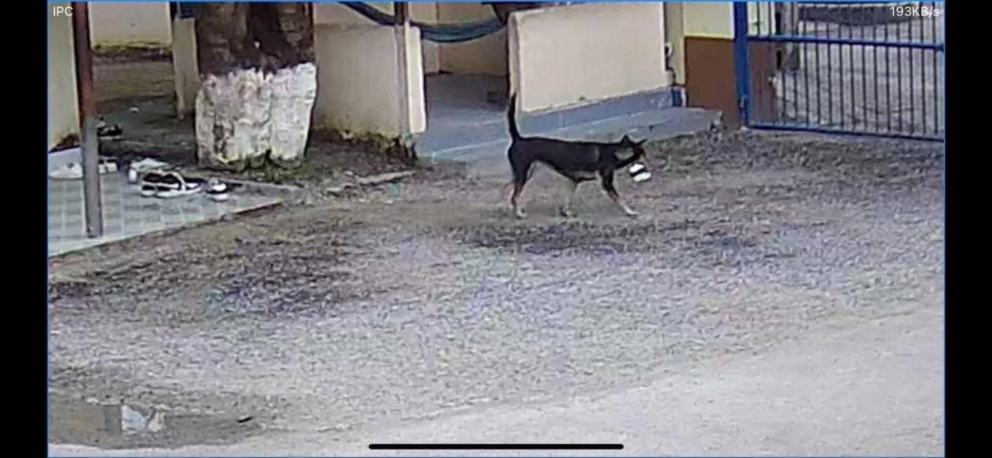 Cô giáo cảnh báo: Ai giấu giày bạn không trả sẽ bị hạ hạnh kiểm, trích xuất camera thấy thủ phạm mà câm nín - Phen này xử sao đây!- Ảnh 3.