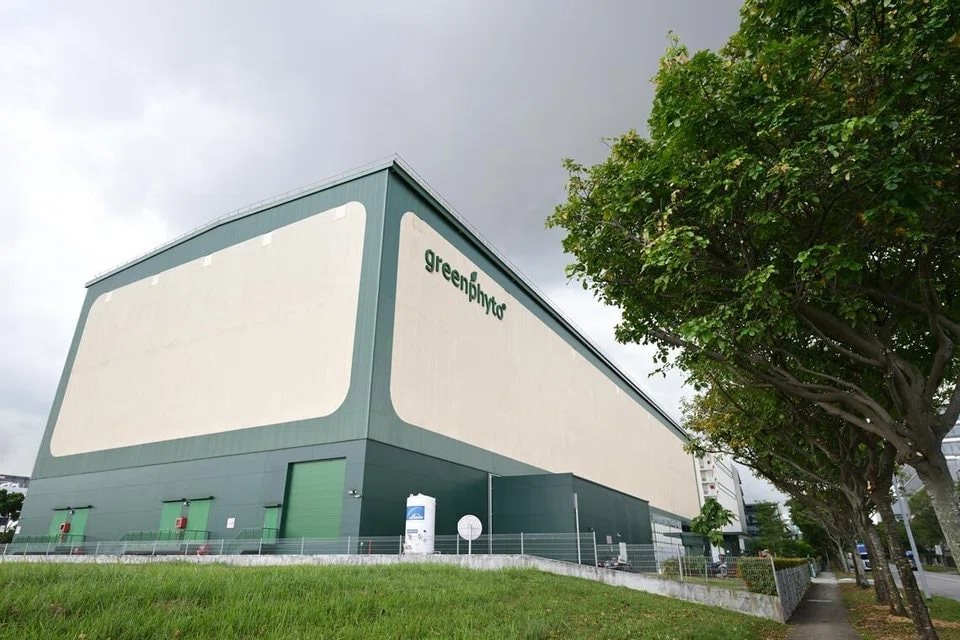 'Chung cư trồng rau' cao nhất thế giới ngay gần Việt Nam: rộng 2ha, c&ocirc;ng suất 2.000 tấn rau/năm, vận h&agrave;nh chỉn chu ngang nh&agrave; m&aacute;y c&ocirc;ng nghệ cao- Ảnh 1.