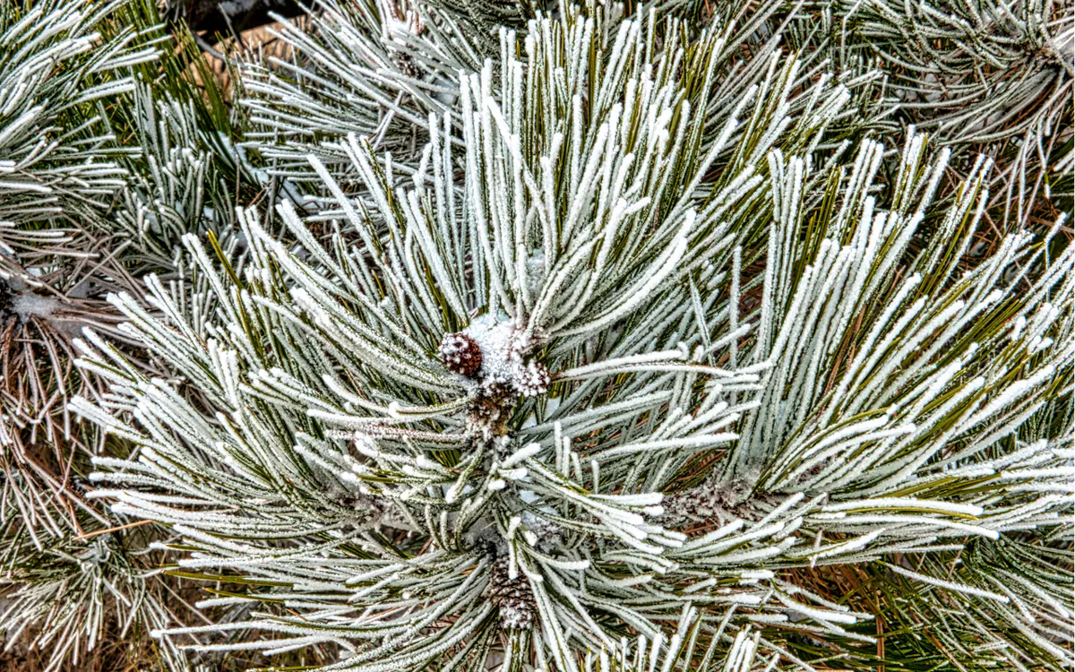 Ảnh minh họa: Pexels