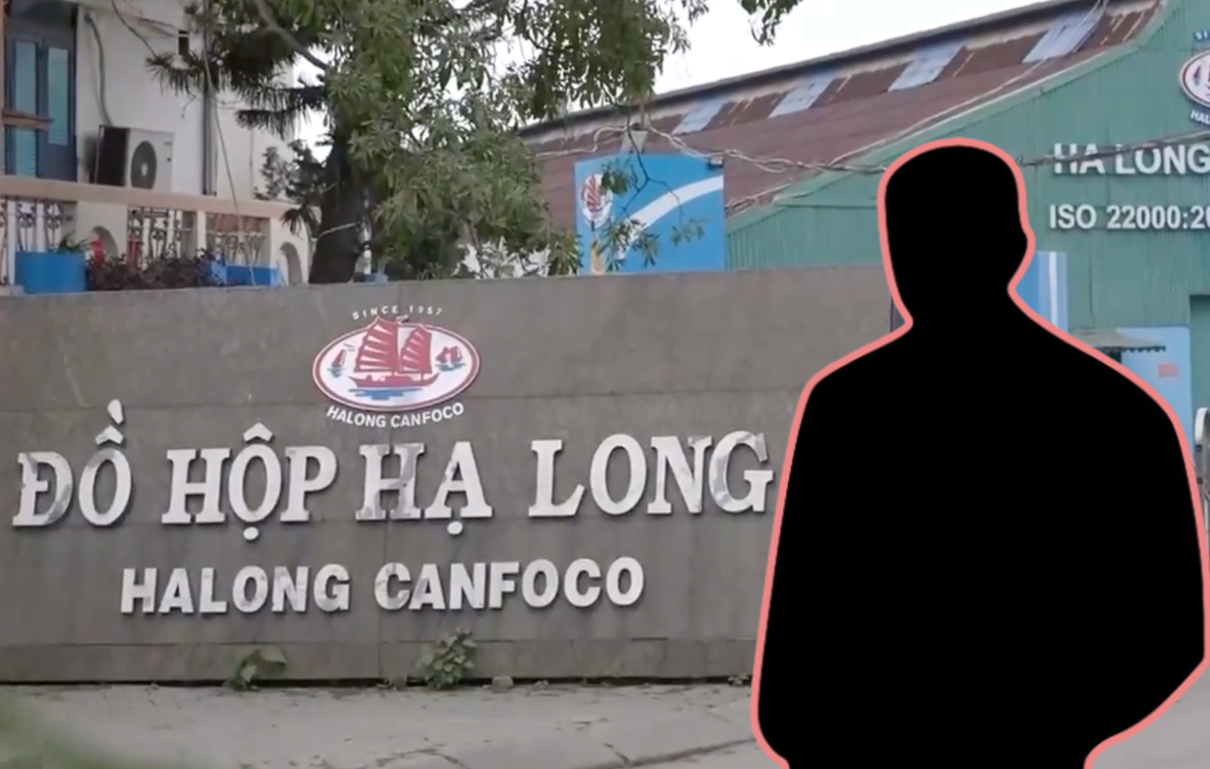 Tổng gi&aacute;m đốc Đồ hộp Hạ Long vừa bị bắt l&agrave; ai?