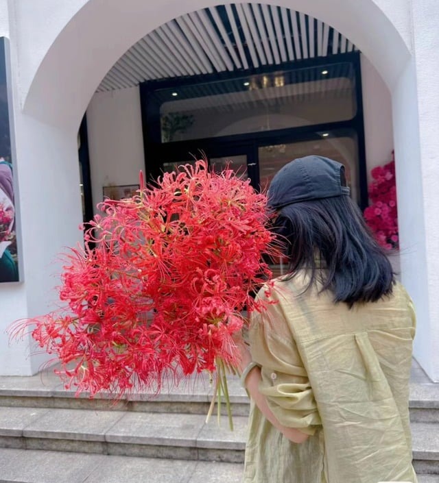 Người xưa dặn: 3 c&acirc;y nặng &acirc;m kh&iacute;, kh&ocirc;ng n&ecirc;n trồng trong nh&agrave;- Ảnh 5.