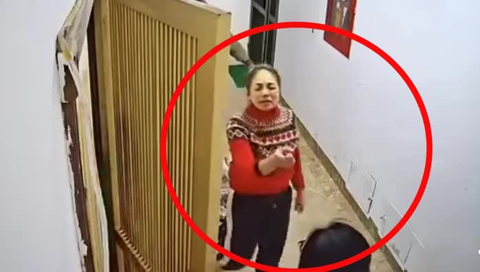 Pháp lý vụ người phụ nữ bị hành hung tại chung cư ở Hà Nội- Ảnh 2. Pháp lý vụ người phụ nữ bị hành hung tại chung cư ở Hà Nội- Ảnh 2.