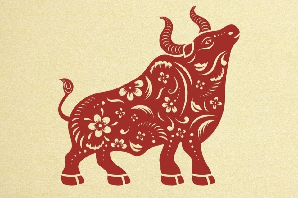 Khả năng cao trong 15 ng&agrave;y nữa, 3 con gi&aacute;p n&agrave;y sẽ gặp may mắn, nhất l&agrave; về học tập v&agrave; tiền bạc- Ảnh 1.