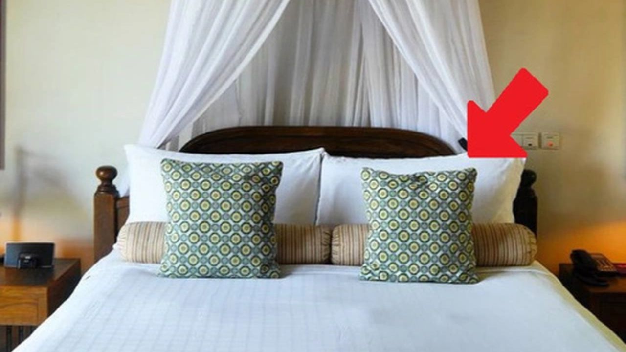 Vì sao giường ở khách sạn thường có 4 chiếc gối? Mục đích đặc biệt nhiều người đã bỏ qua- Ảnh 2. Vì sao giường ở khách sạn thường có 4 chiếc gối? Mục đích đặc biệt nhiều người đã bỏ qua- Ảnh 2.