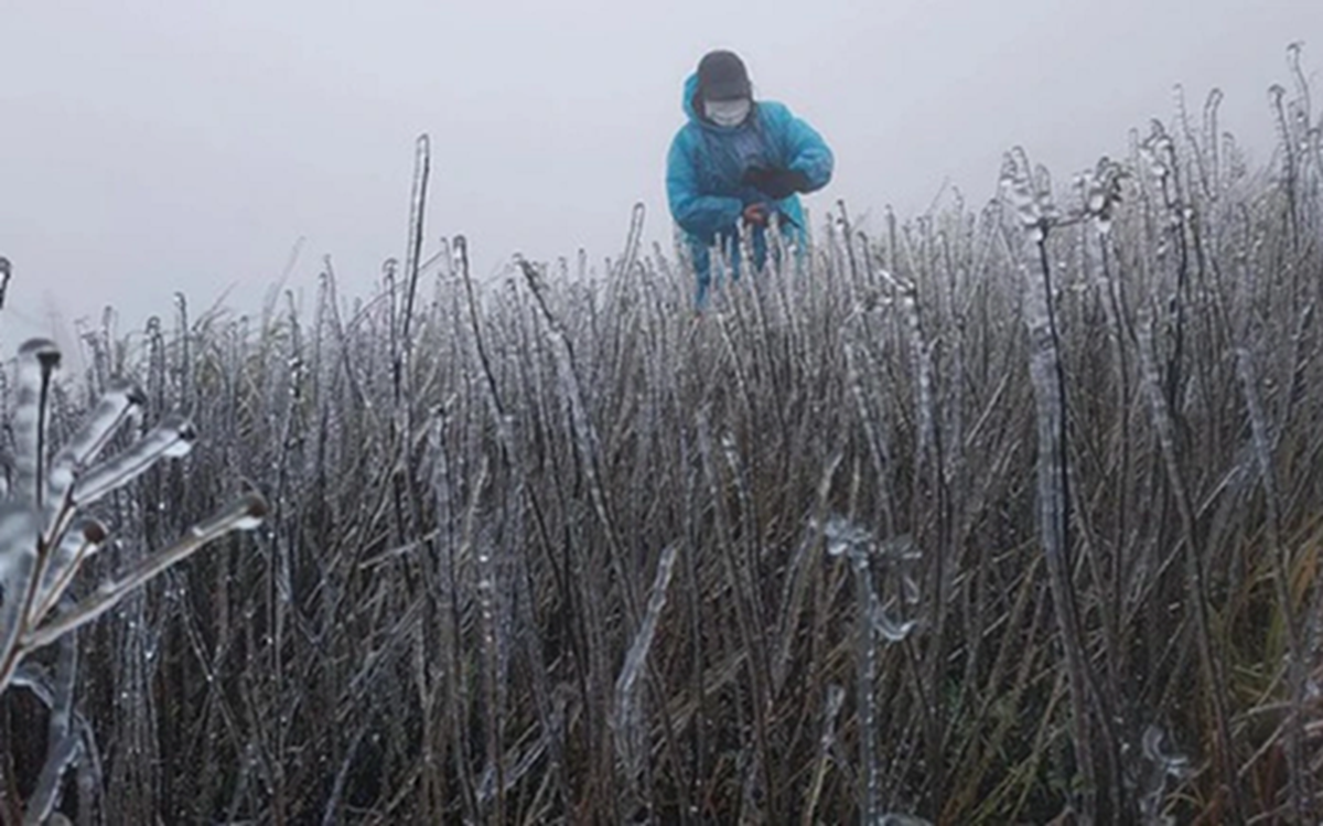 Miền Bắc lại sắp đ&oacute;n kh&ocirc;ng kh&iacute; lạnh cực mạnh giữa th&aacute;ng 1, dự b&aacute;o nơi r&eacute;t đậm nhất- Ảnh 1.