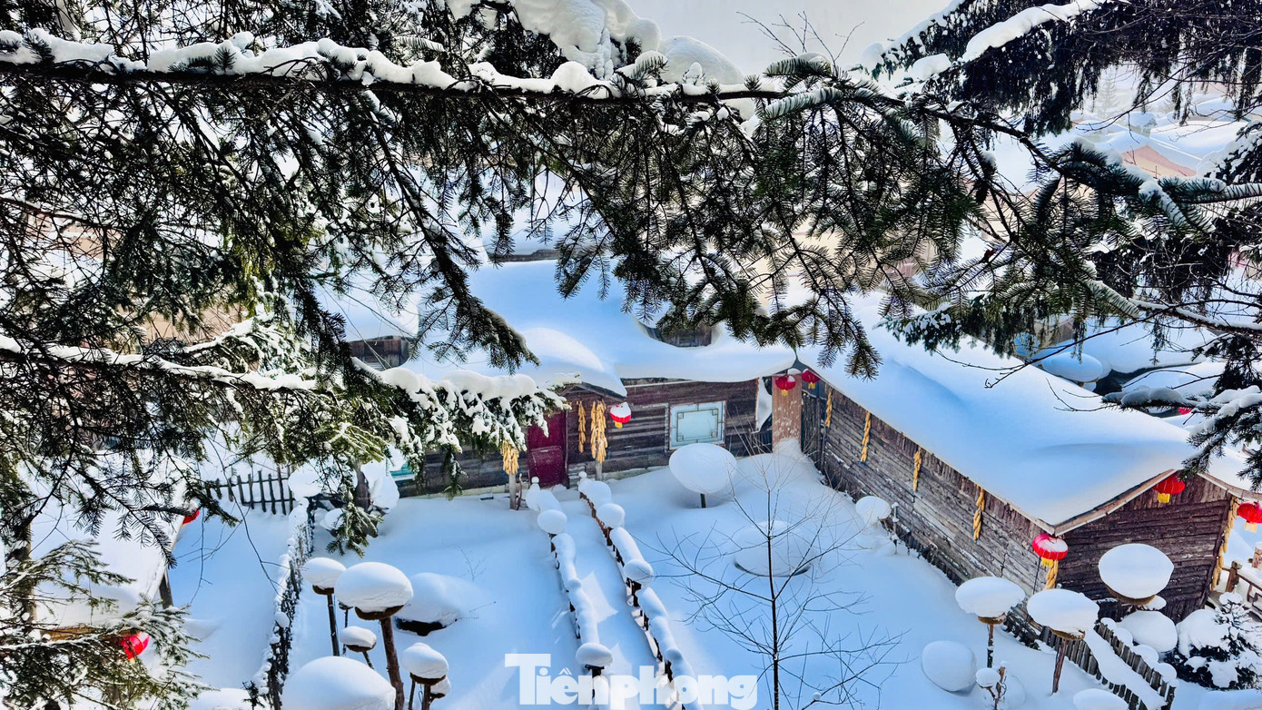 Vỡ &ograve;a cảnh si&ecirc;u thực ng&ocirc;i l&agrave;ng ở Hắc Long Giang, kh&aacute;ch đến chỉ biết trầm trồ- Ảnh 3.