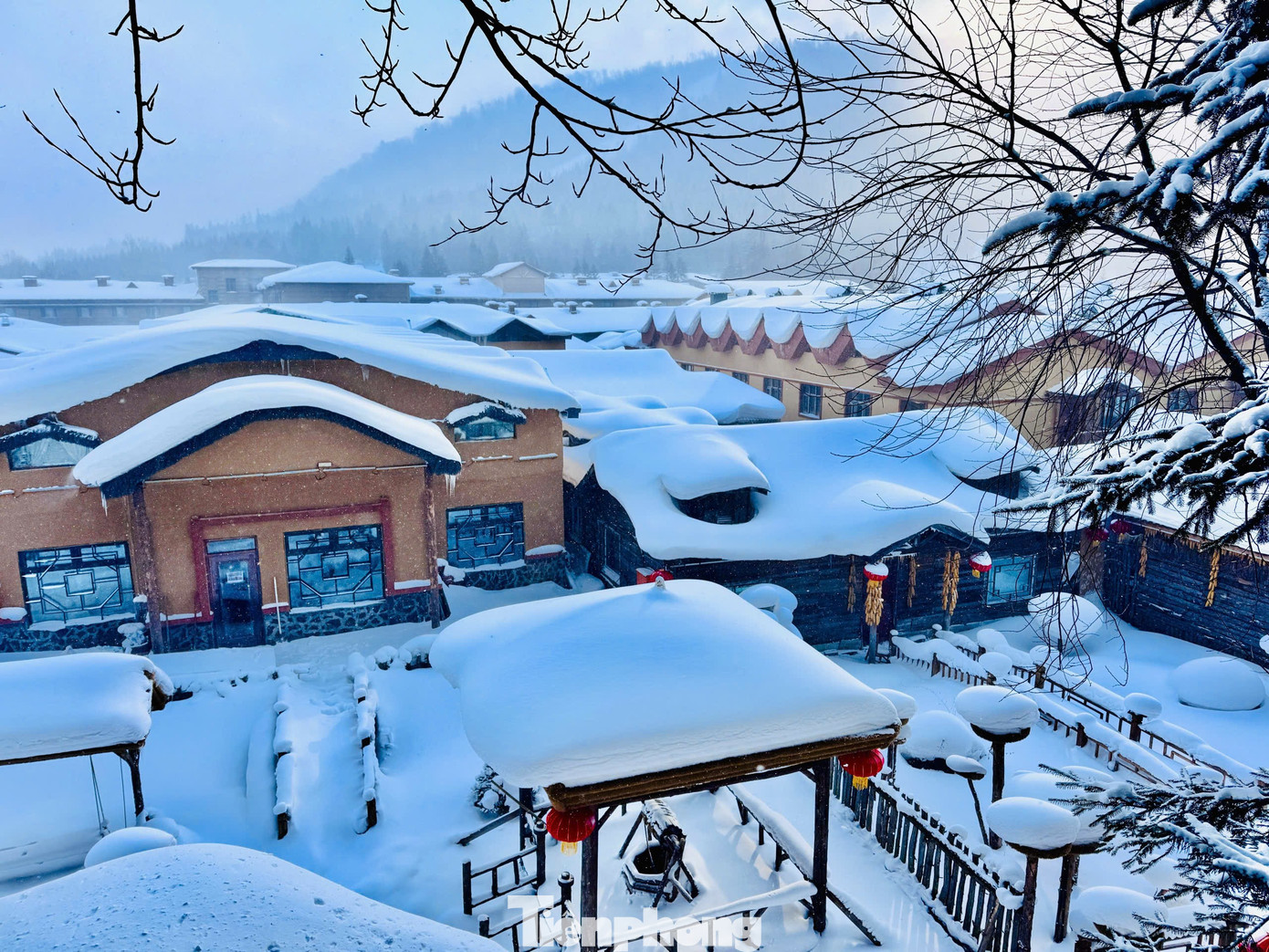 Vỡ &ograve;a cảnh si&ecirc;u thực ng&ocirc;i l&agrave;ng ở Hắc Long Giang, kh&aacute;ch đến chỉ biết trầm trồ- Ảnh 4.