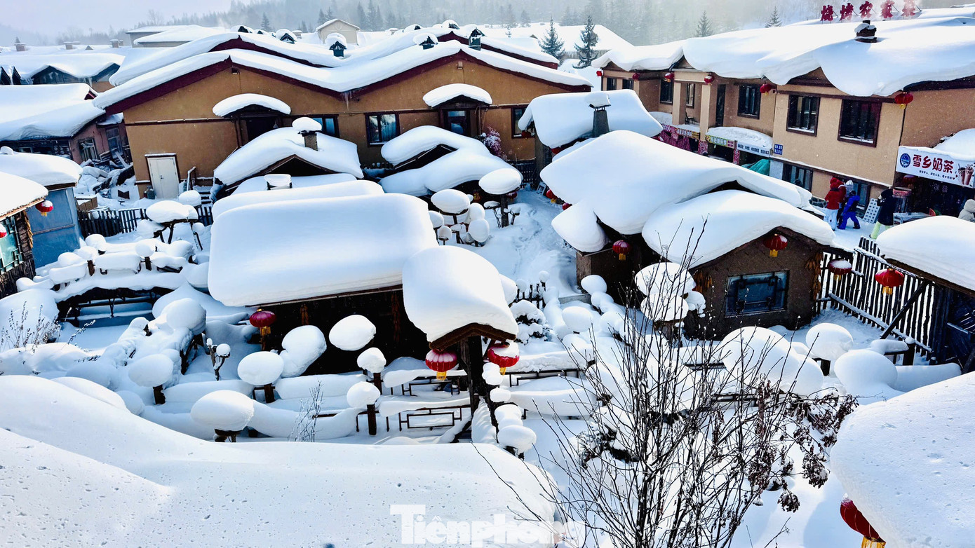 Vỡ &ograve;a cảnh si&ecirc;u thực ng&ocirc;i l&agrave;ng ở Hắc Long Giang, kh&aacute;ch đến chỉ biết trầm trồ- Ảnh 5.