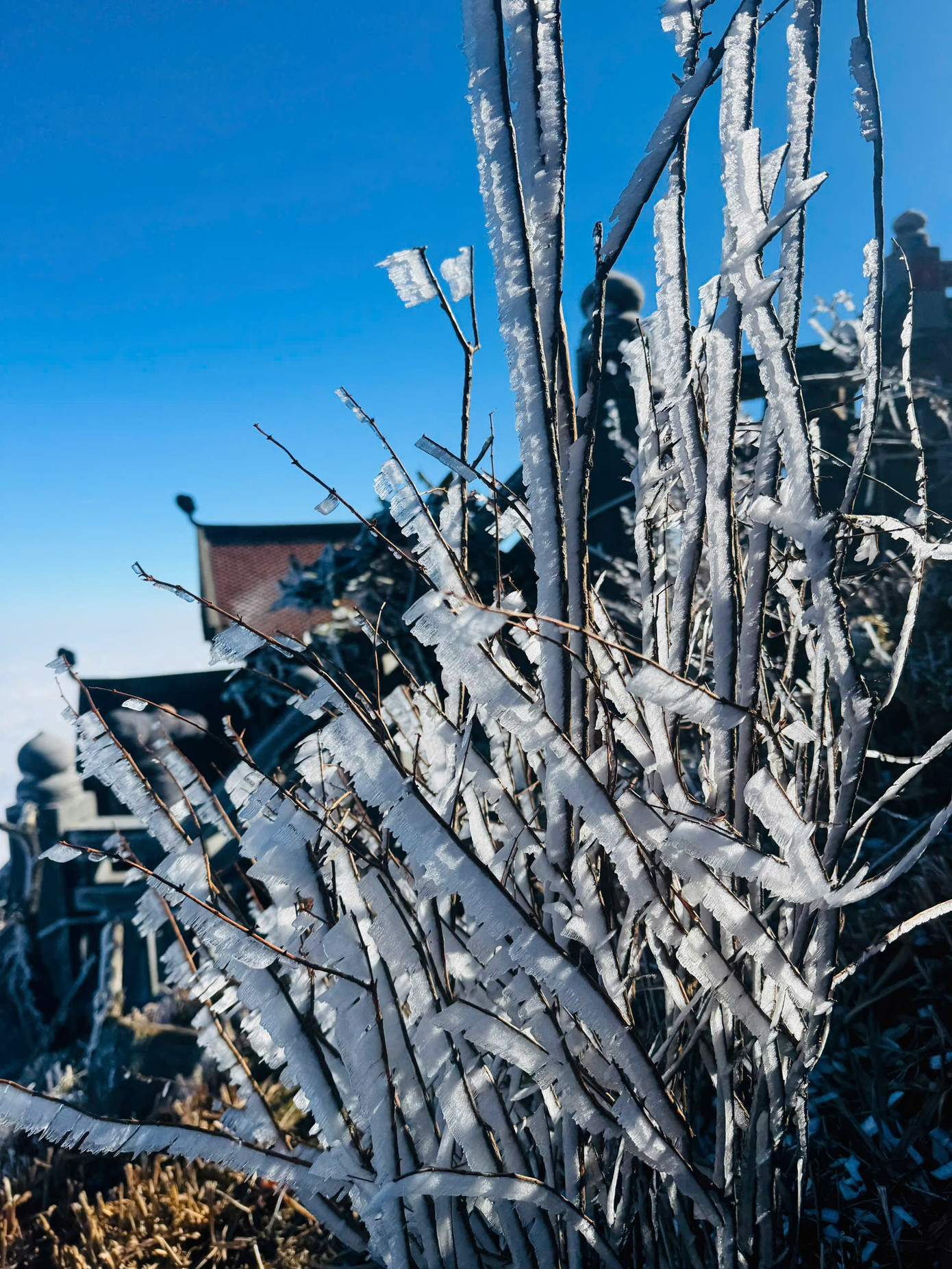 Băng tuyết trắng x&oacute;a tr&ecirc;n đỉnh Fansipan- Ảnh 3.