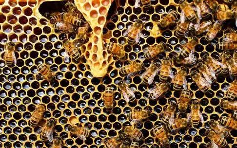 Thoát "cửa tử" sau khi bị đốt cháy 40 phút- Ảnh 1.