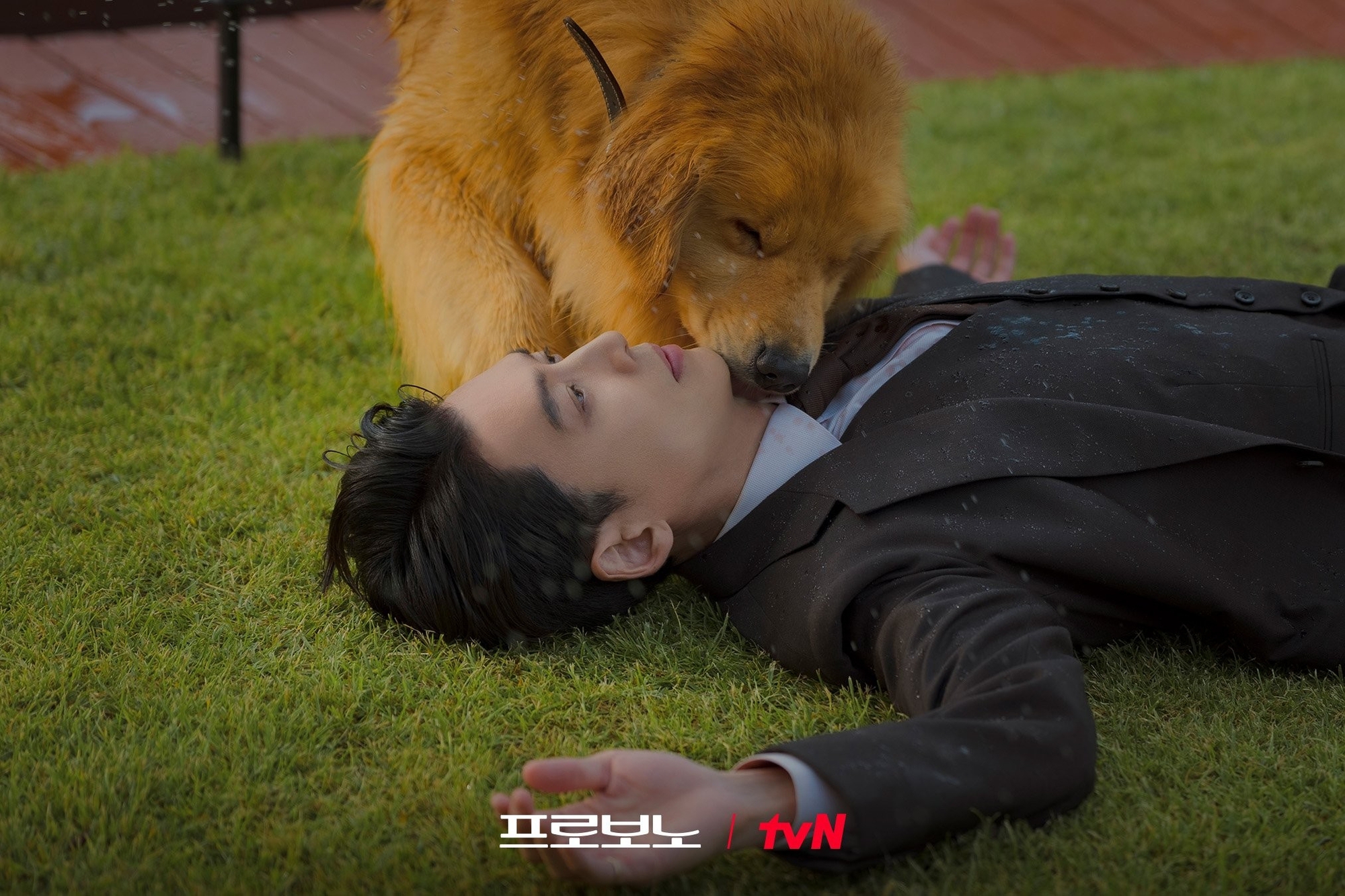 Sợ đầu voi đu&ocirc;i chuột th&igrave; quất ngay phim H&agrave;n n&agrave;y: Kịch bản cua kh&eacute;t lẹt qu&aacute; đ&atilde;, nam ch&iacute;nh chưa từng g&acirc;y thất vọng- Ảnh 1.