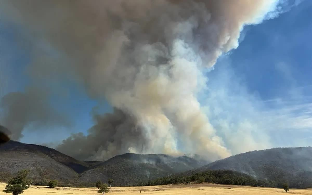 Australia ban bố t&igrave;nh trạng thảm họa về ch&aacute;y rừng- Ảnh 2.