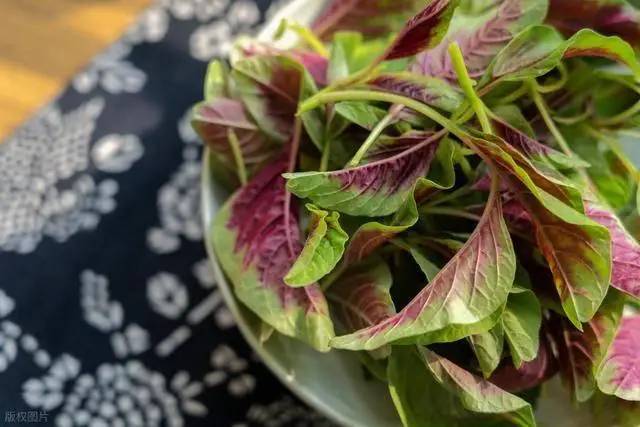 Một b&aacute;t rau rẻ tiền n&agrave;y được v&iacute; "bằng cả th&ugrave;ng sữa": Người gi&agrave; ăn đều, xương chắc hơn, ch&acirc;n tay khỏe ra tr&ocirc;ng thấy- Ảnh 1.