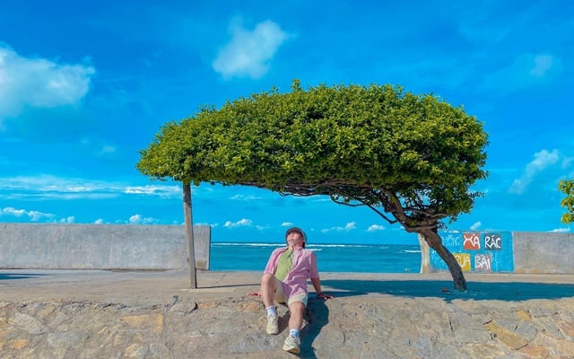 Một đảo miền Trung Việt Nam được vinh danh ngay đầu năm 2026, b&aacute;o Th&aacute;i nhận x&eacute;t: 