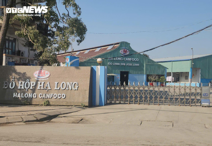 V&igrave; sao Tổng gi&aacute;m đốc C&ocirc;ng ty Cổ phần Đồ hộp Hạ Long bị bắt?- Ảnh 2.