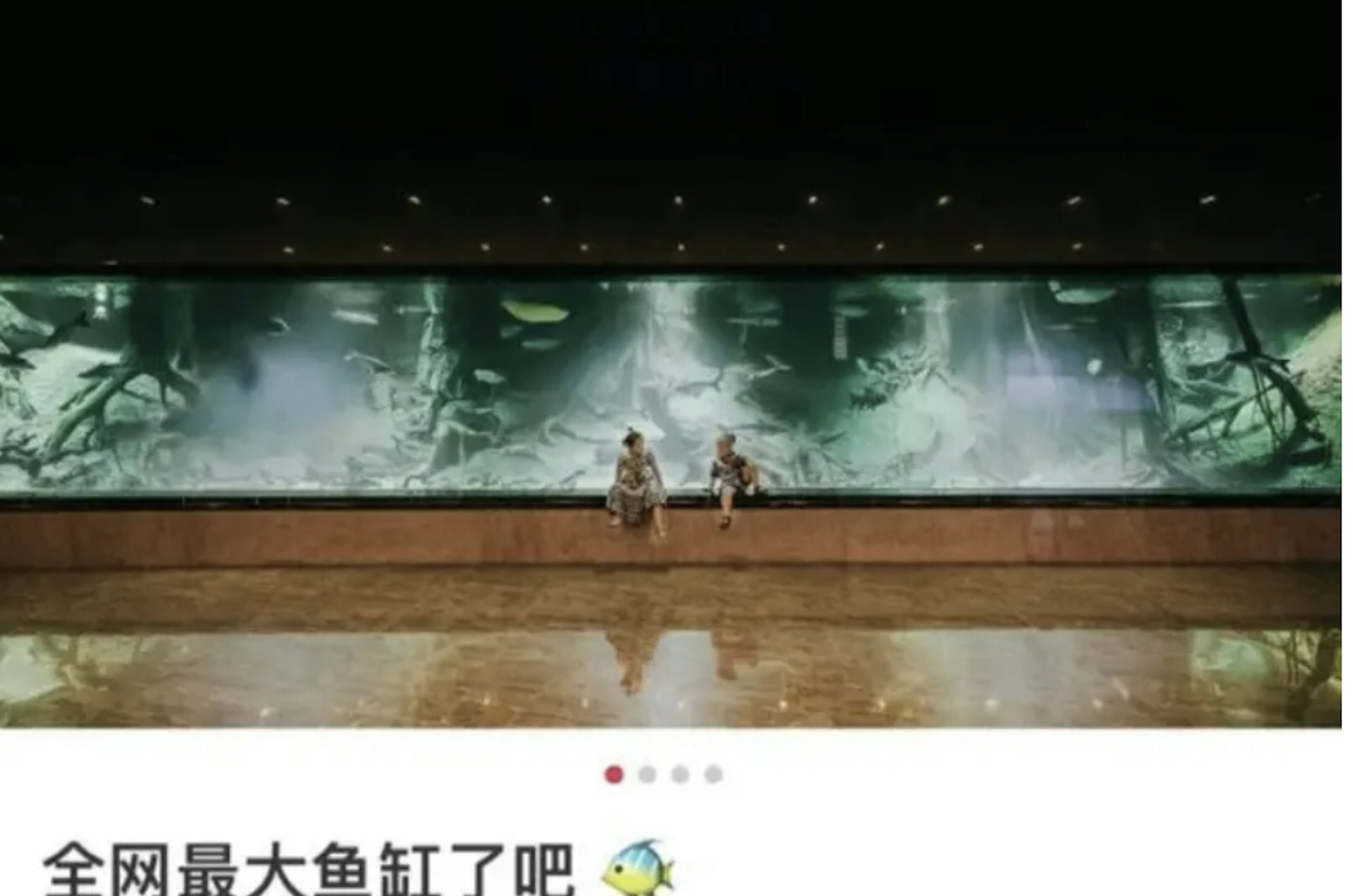 Cuộc sống kh&ocirc;ng tưởng của &ldquo;Ti&ecirc;n nữ TikTok&rdquo; nghi vợ tr&ugrave;m lừa đảo Trần Ch&iacute;: Biệt thự nu&ocirc;i c&aacute; mập, 6 phi cơ ri&ecirc;ng, piano bằng v&agrave;ng r&ograve;ng- Ảnh 5.