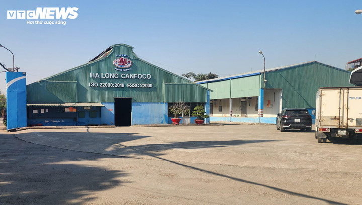 V&igrave; sao Tổng gi&aacute;m đốc C&ocirc;ng ty Cổ phần Đồ hộp Hạ Long bị bắt?- Ảnh 1.