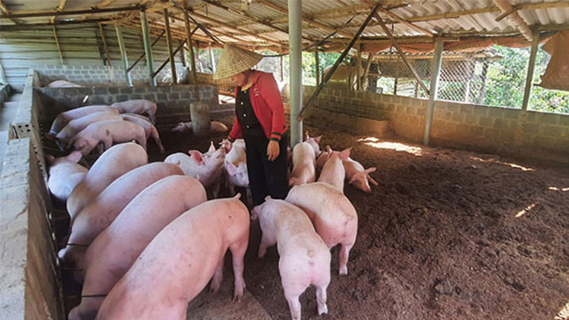 Kh&aacute;ch T&acirc;y tự trải nghiệm việc vốn "d&agrave;nh cho n&ocirc;ng d&acirc;n Việt Nam" xưa: L&agrave;m 1 h&agrave;nh động khiến ai cũng cười- Ảnh 3.