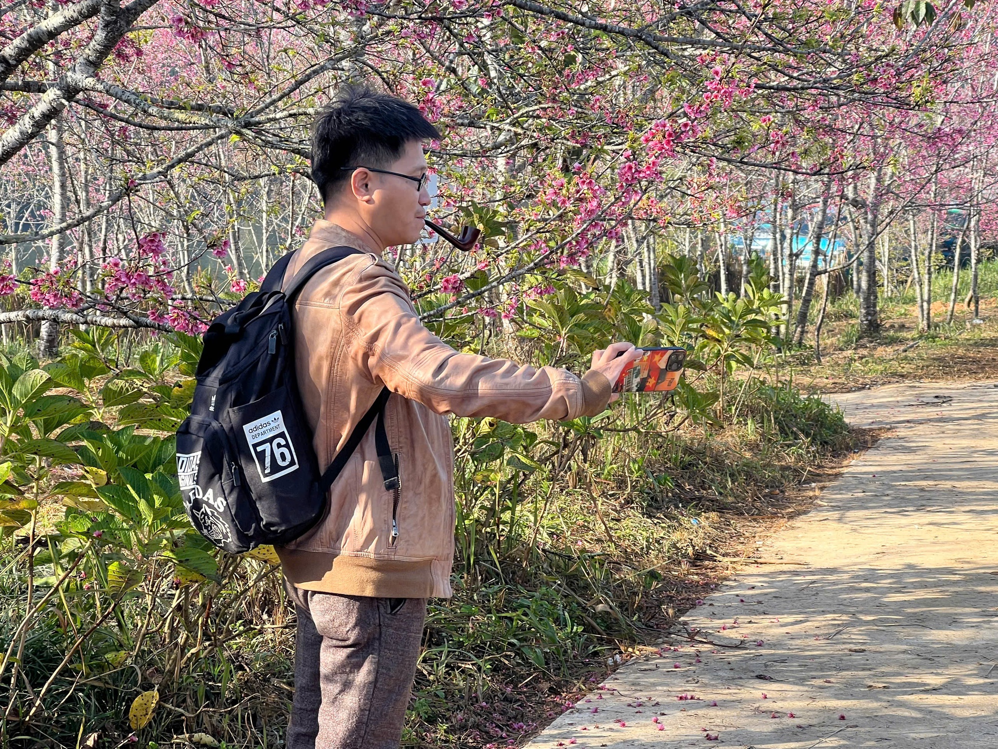 Điện Bi&ecirc;n: Hơn 300.000 gốc anh đ&agrave;o khoe sắc rực rỡ giữa l&ograve;ng hồ P&aacute; Khoang- Ảnh 8.