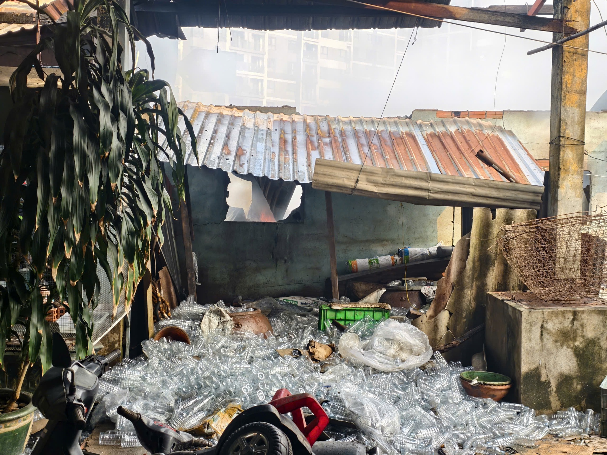 Ch&ugrave;m ảnh vụ ch&aacute;y lớn ở TPHCM v&agrave;o s&aacute;ng nay- Ảnh 2.