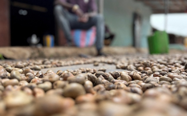 'Sản vật trời ban' của Việt Nam lập kỷ lục chưa từng c&oacute;, lần đầu gia nhập 'c&acirc;u lạc bộ 5 tỷ USD'- Ảnh 1.