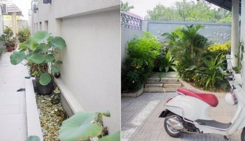 NSƯT Việt 3 đời vợ, c&oacute; 1000 c&acirc;y v&agrave;ng, ở biệt thự 300m&sup2;- Ảnh 5.