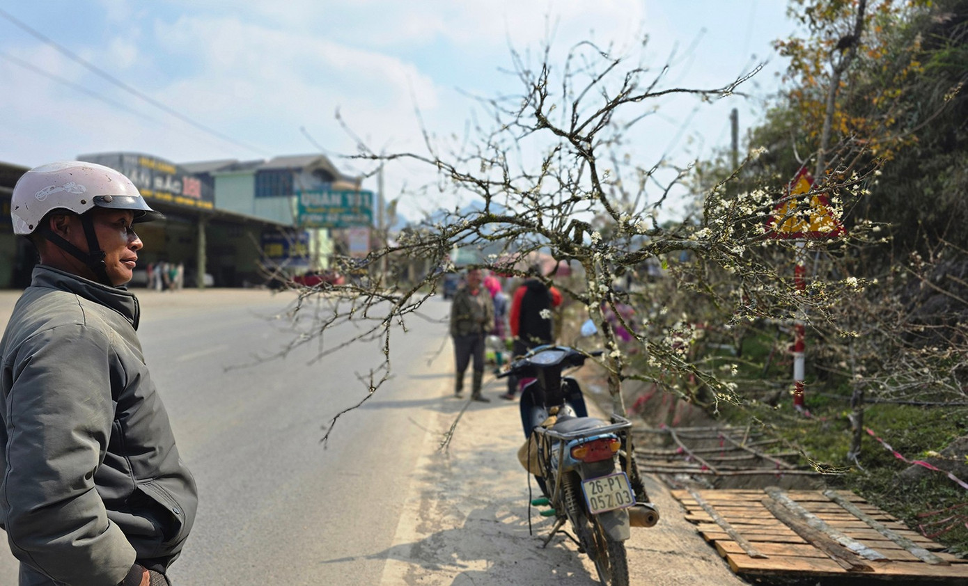 Đ&agrave;o, mận Mộc Ch&acirc;u h&uacute;t kh&aacute;ch chơi Tết sớm- Ảnh 12.