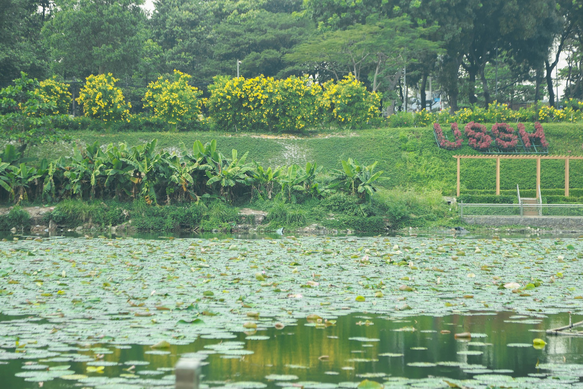 Trường c&ocirc;ng lập g&igrave; m&agrave; như resort thế n&agrave;y? G&oacute;c n&agrave;o cũng đầy chất thơ khiến hơn 5 ngh&igrave;n người phải v&agrave;o xu&yacute;t xoa hết cỡ- Ảnh 8.