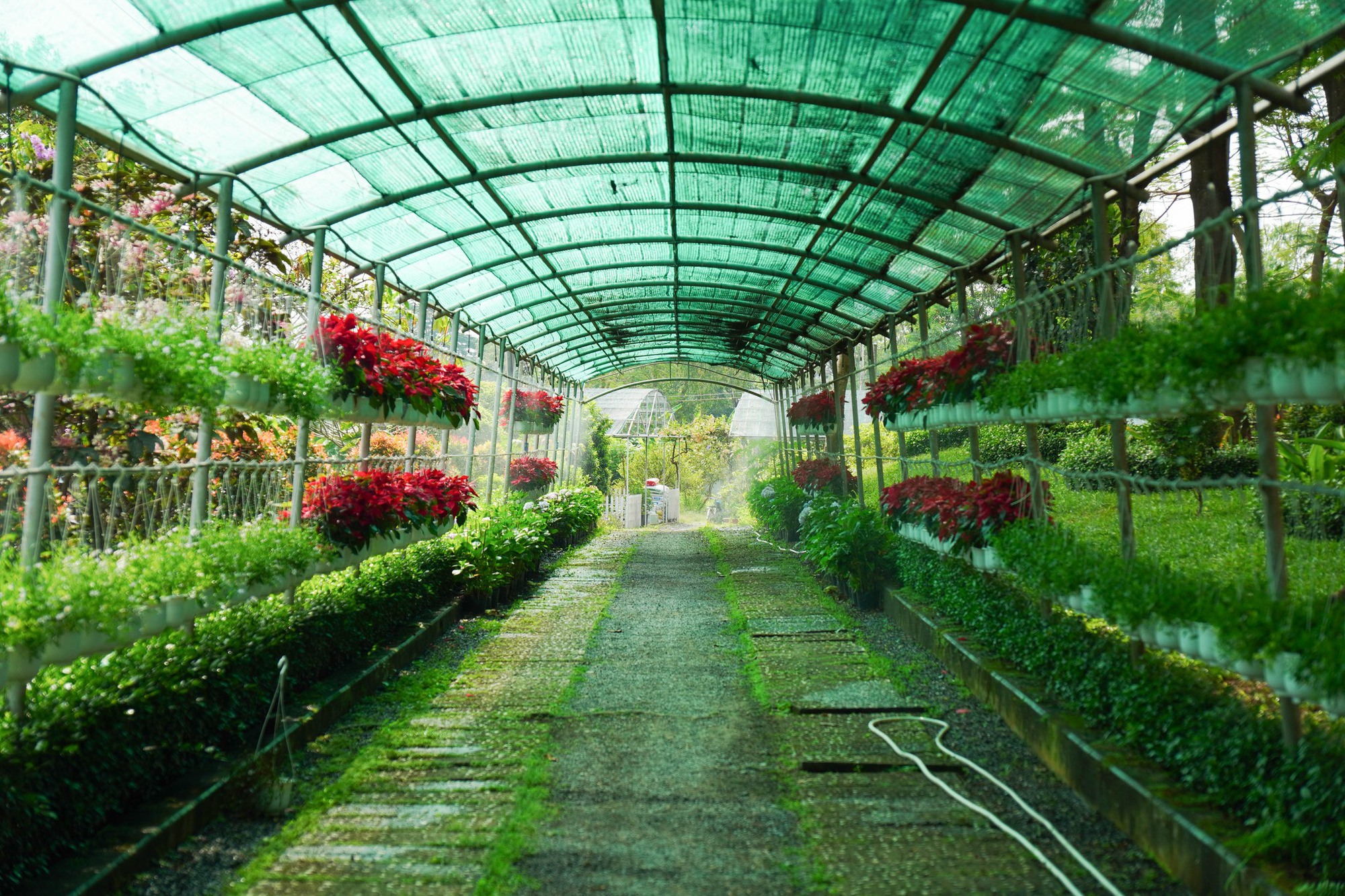 Trường c&ocirc;ng lập g&igrave; m&agrave; như resort thế n&agrave;y? G&oacute;c n&agrave;o cũng đầy chất thơ khiến hơn 5 ngh&igrave;n người phải v&agrave;o xu&yacute;t xoa hết cỡ- Ảnh 7.