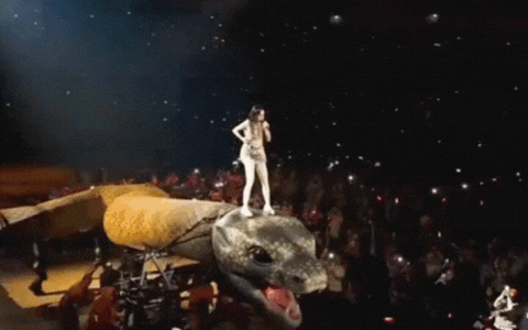 H&agrave;ng trăm người y&ecirc;u cầu Sở Văn ho&aacute; - Du lịch dừng concert "vườn lạc th&uacute;" 760 tỷ của mỹ nh&acirc;n n&agrave;y- Ảnh 6.