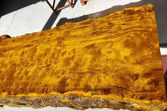 Thương gia mang hơn 900 tỷ đồng hỏi mua 3 cây gỗ trong vườn, lão nông dân đưa ra quyết định gây tranh cãi- Ảnh 4. Thương gia mang hơn 900 tỷ đồng hỏi mua 3 cây gỗ trong vườn, lão nông dân đưa ra quyết định gây tranh cãi- Ảnh 4.