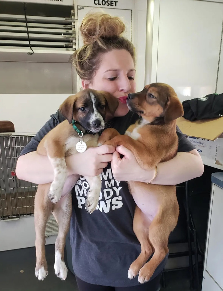 Ch&aacute;n ngấy hẹn h&ograve; online, nhiều phụ nữ 'th&agrave; dắt ch&oacute; đi dạo c&ograve;n hơn y&ecirc;u đương'- Ảnh 1.