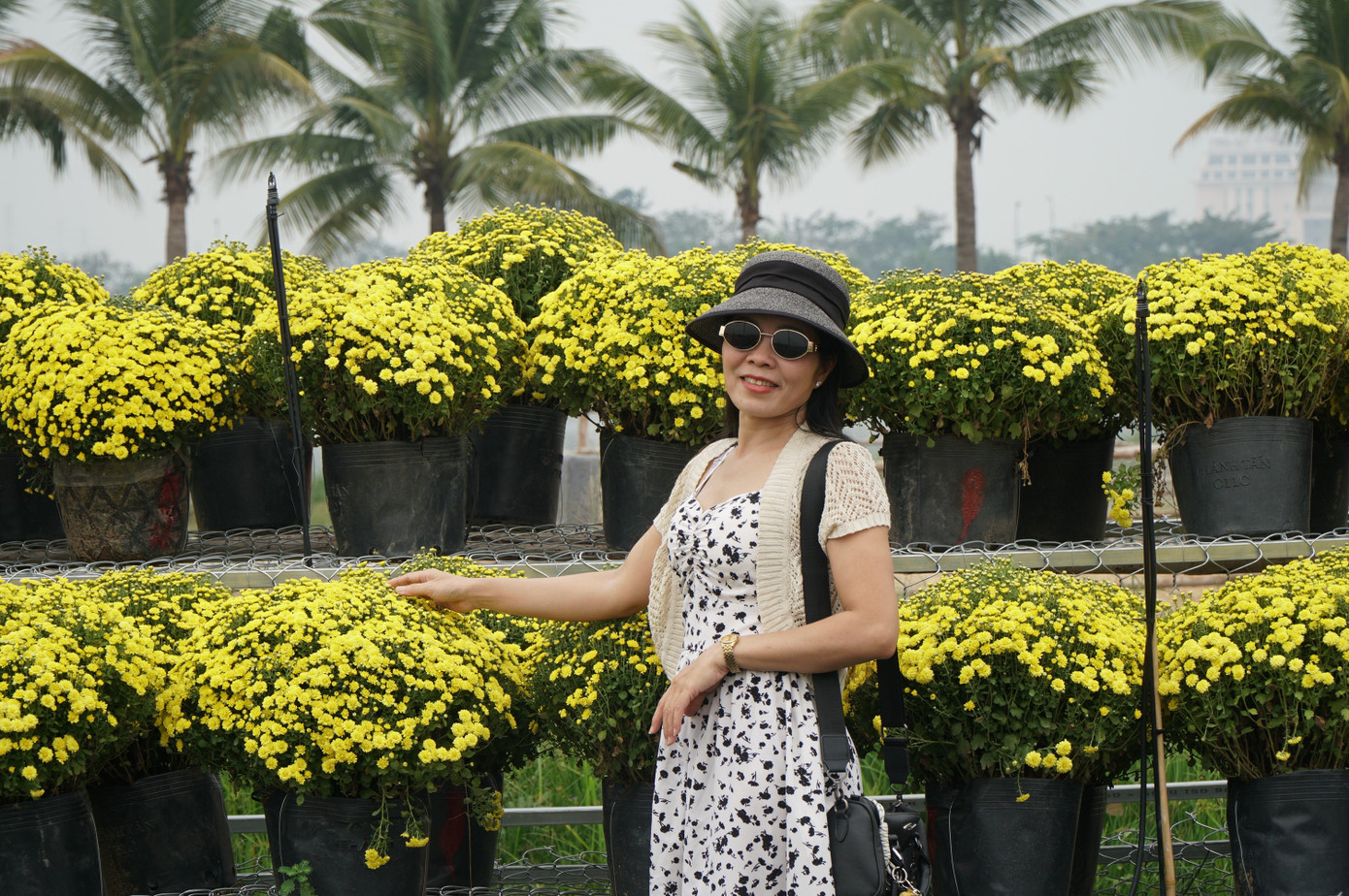 Sốt s&igrave;nh sịch với c&aacute;nh đồng hoa xu&acirc;n ở TPHCM- Ảnh 6.