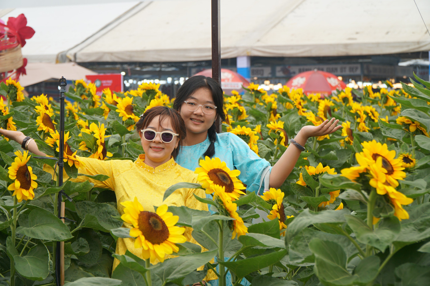 Sốt s&igrave;nh sịch với c&aacute;nh đồng hoa xu&acirc;n ở TPHCM- Ảnh 8.