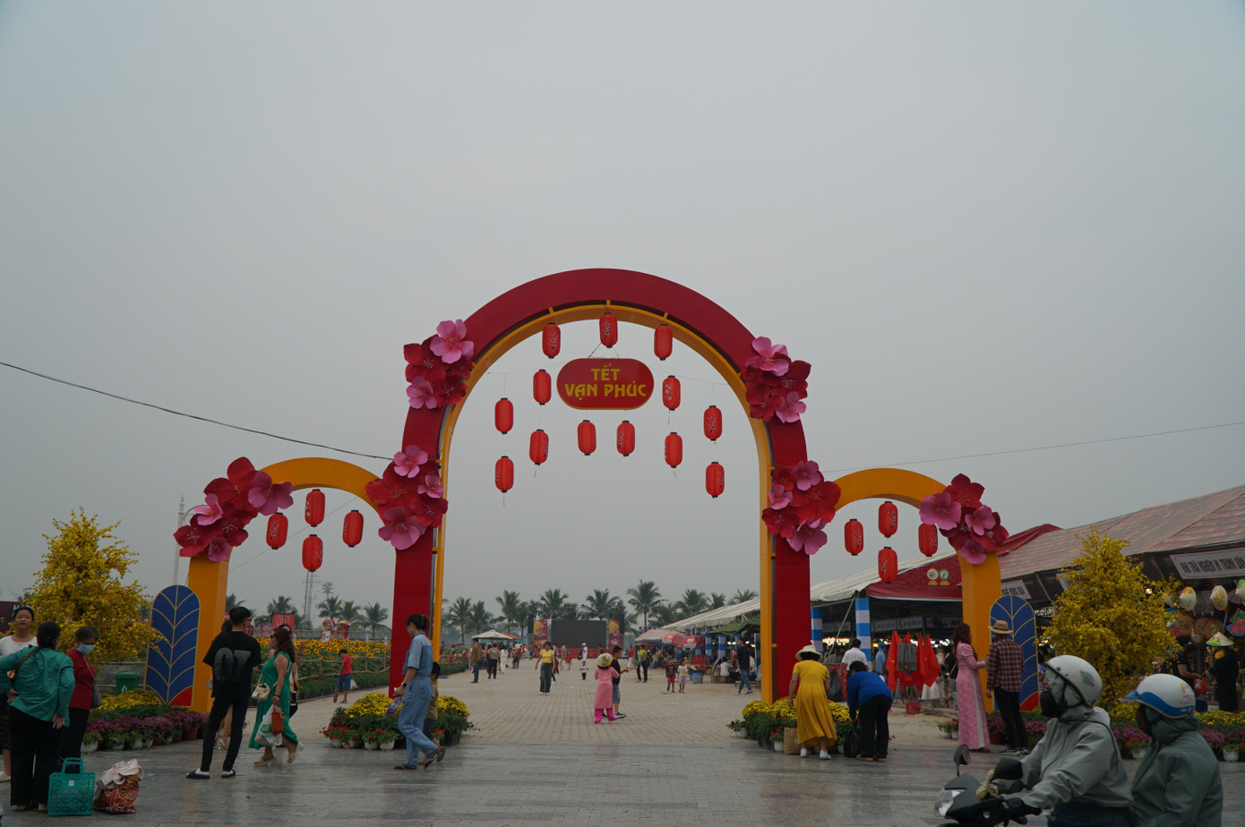 Sốt s&igrave;nh sịch với c&aacute;nh đồng hoa xu&acirc;n ở TPHCM- Ảnh 1.