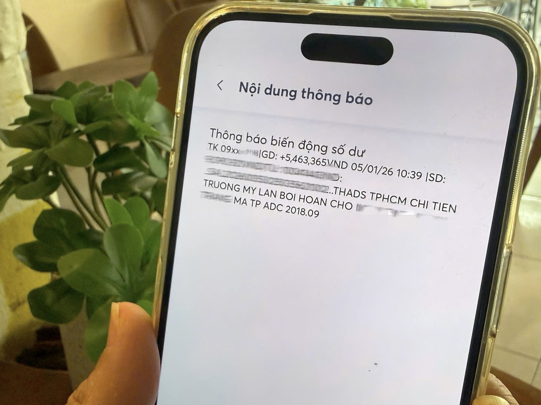 Vụ &aacute;n Vạn Thịnh Ph&aacute;t: Hơn 43.000 tr&aacute;i chủ nhận tin vui- Ảnh 1.