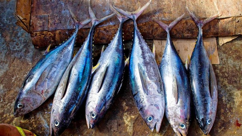 Ăn c&aacute; sai c&aacute;ch c&oacute; thể "ph&aacute; thận"? B&aacute;c sĩ cảnh b&aacute;o: 3 loại n&agrave;y n&ecirc;n ăn &iacute;t- Ảnh 3.