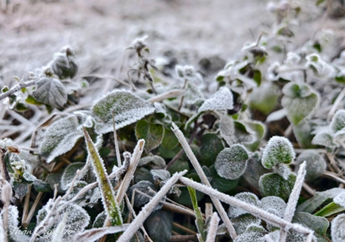 Miền Bắc đ&oacute;n đợt kh&ocirc;ng kh&iacute; lạnh cường độ mạnh, bỏ t&uacute;i ngay 5 "thần dược" giữ ấm cơ thể cực tốt- Ảnh 1.